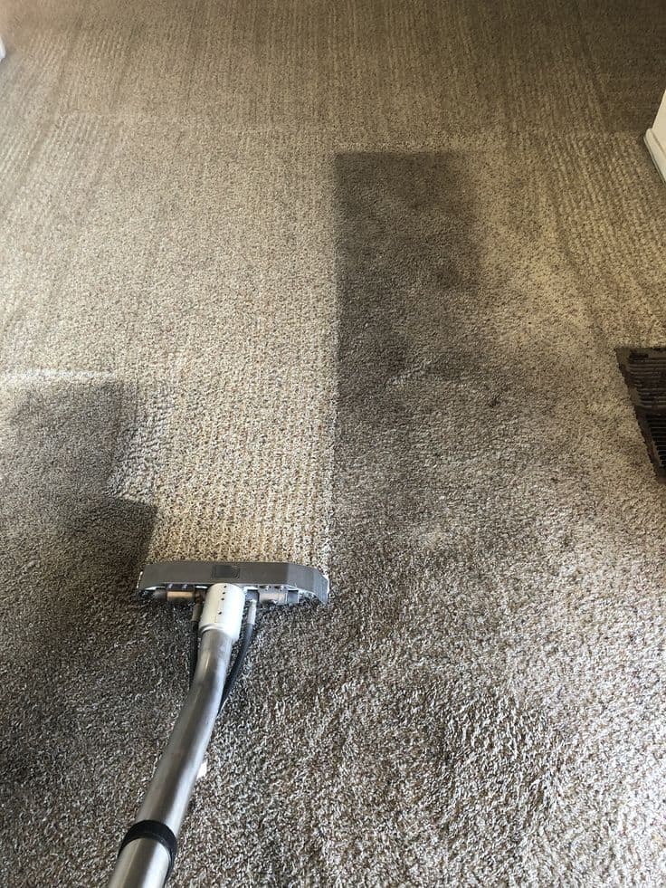 Tapis